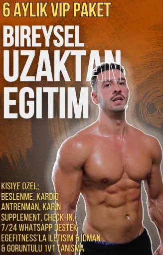 6 Aylik VIP Egitim